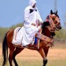 Mohammed Abdo 的头像