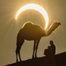 فــــهــــد's profile picture