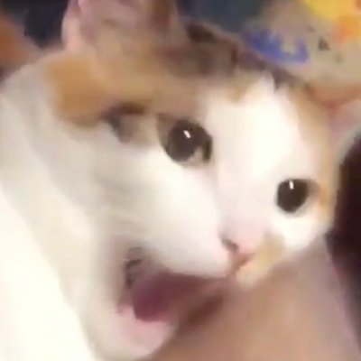 it_went_wrong's profile picture