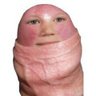 zguegoire's profile picture