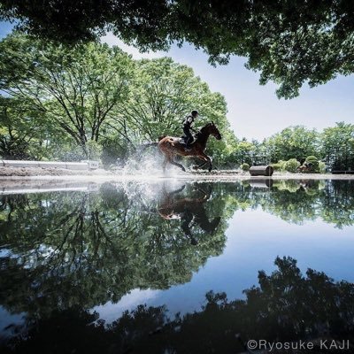 Ryosuke KAJI's profile picture