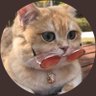 Кактусик's profile picture