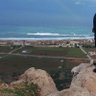 Ali Rashd's profile picture