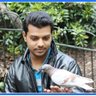 Yagneshkumar Gopi profil fotoğrafı