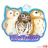 ハミィとハミママ profil fotoğrafı