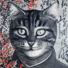 maziak's profile picture