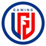 Profilbild von LGD Gaming