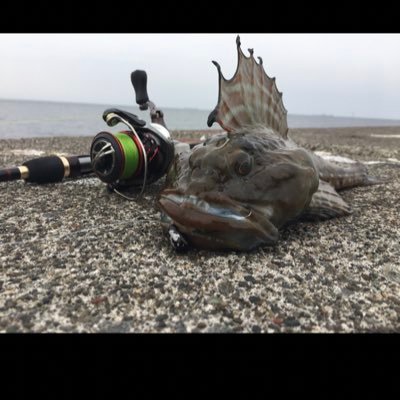 大すけ@あ〜すっごい's profile picture