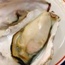 鯖缶 profil fotoğrafı