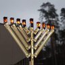 טל עסיס - חד ערכי מידתי סביר ודו מהותי's profile picture