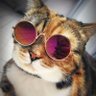 Камінський Богдан's profile picture