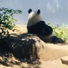Profilbild von youxiangko