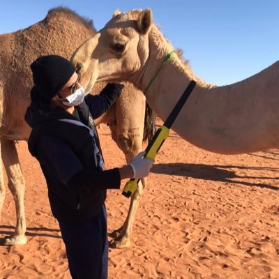 vet913's profile picture