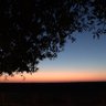 Фото профиля نوف الرشيدي