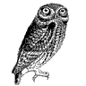 Marco Zollinger's profile picture