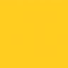 @aymenans381's profile picture