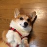 みるお profil fotoğrafı