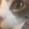 Profilbild von Psyer