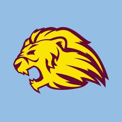 villareport's profile picture
