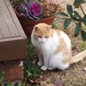 アースガルズ 的头像