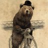 Bear on a Bicycle profil fotoğrafı