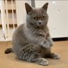 Um profil fotoğrafı