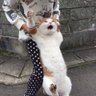 Profilbild von かず
