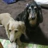 âªKi.Kiâ¢*š*â¢.žžâ¬ïž's profile picture