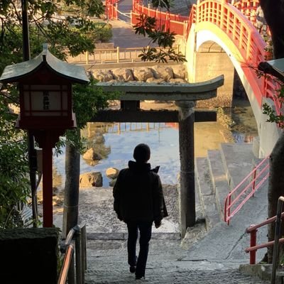 Mizuki.N's profile picture