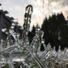 Lum profil fotoğrafı