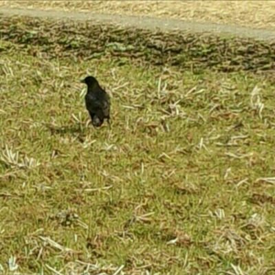 _naari_'s profile picture