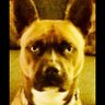 MommaK, Duchess of Bois d'Arc Y'all's profile picture