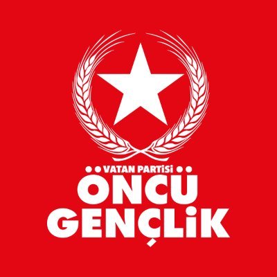 OncuGenclik's profile picture