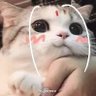 Of Monsters & Me's profile picture