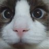 Profilbild von サム
