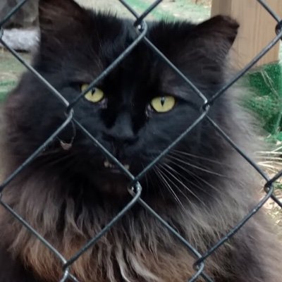 gandolf_s's profile picture