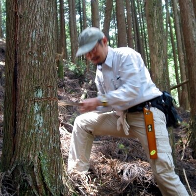 山岸飛鳥 反戦な家づくり🇵🇸 ガザ侵攻やめろ's profile picture