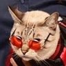 Sofro's profile picture