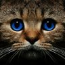 Felix's profile picture