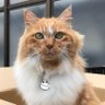 下町の玉二郎 的头像
