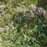 Hakanoruc profil fotoğrafı