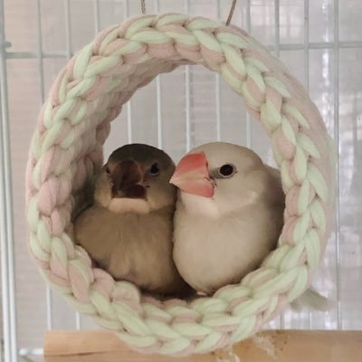 きこ's profile picture