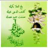 بو محمد profil fotoğrafı