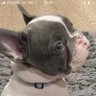 Brian's profile picture