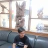 Mohammad Soebirin's profile picture