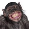 Anant's_dump's profile picture
