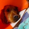 llpp622's profile picture