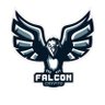 Фото профиля FalconCrypto - HEX 🚀 PLS - PulseBubbles.net