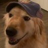 Sparkz's profile picture