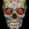 El inquilino comunista ☭'s profile picture